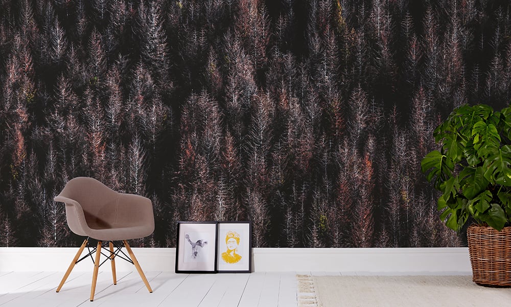 Colourful autumnal forest wall mural in a living room with a grey chair, frames and plant