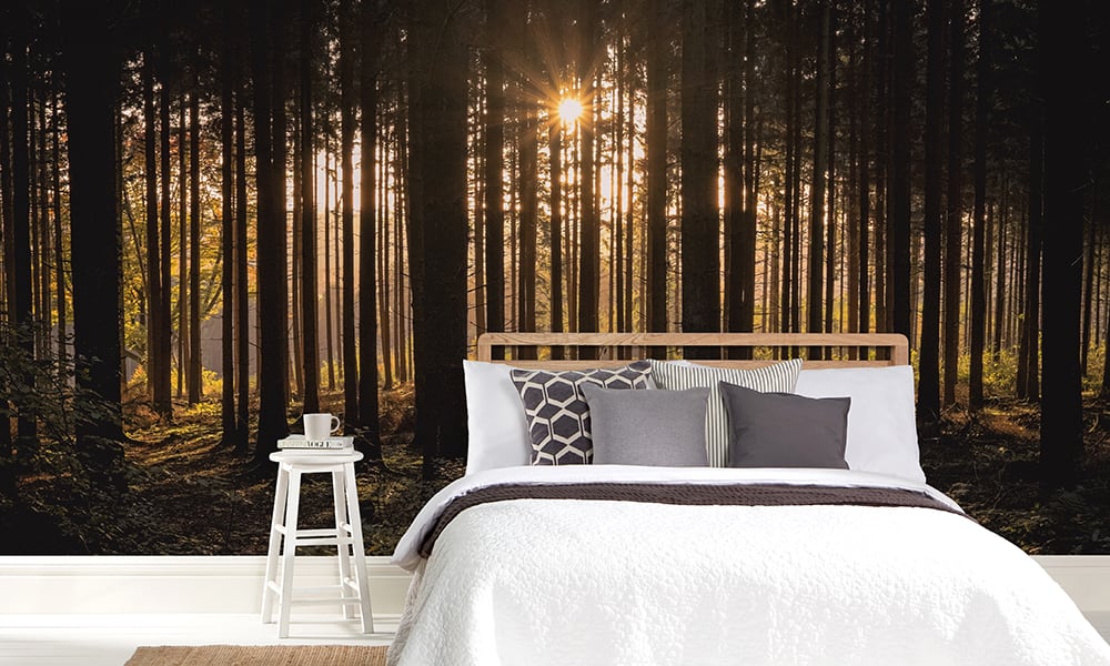 Forest wall mural with sunlight gleaming through trees in a bedroom 