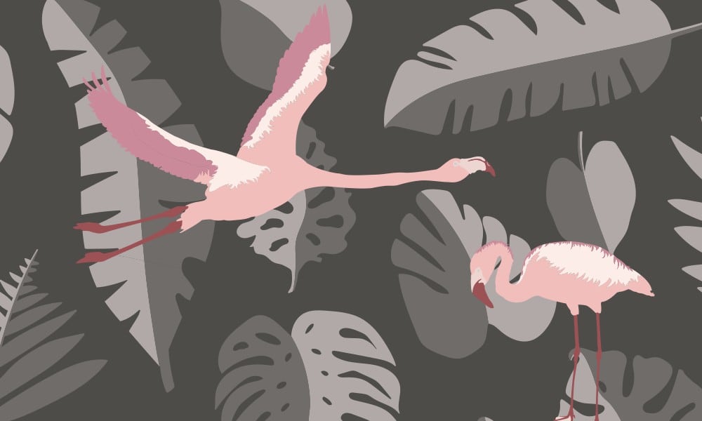 Flamingo wallpaper design with a dark grey backdrop and grey leaves