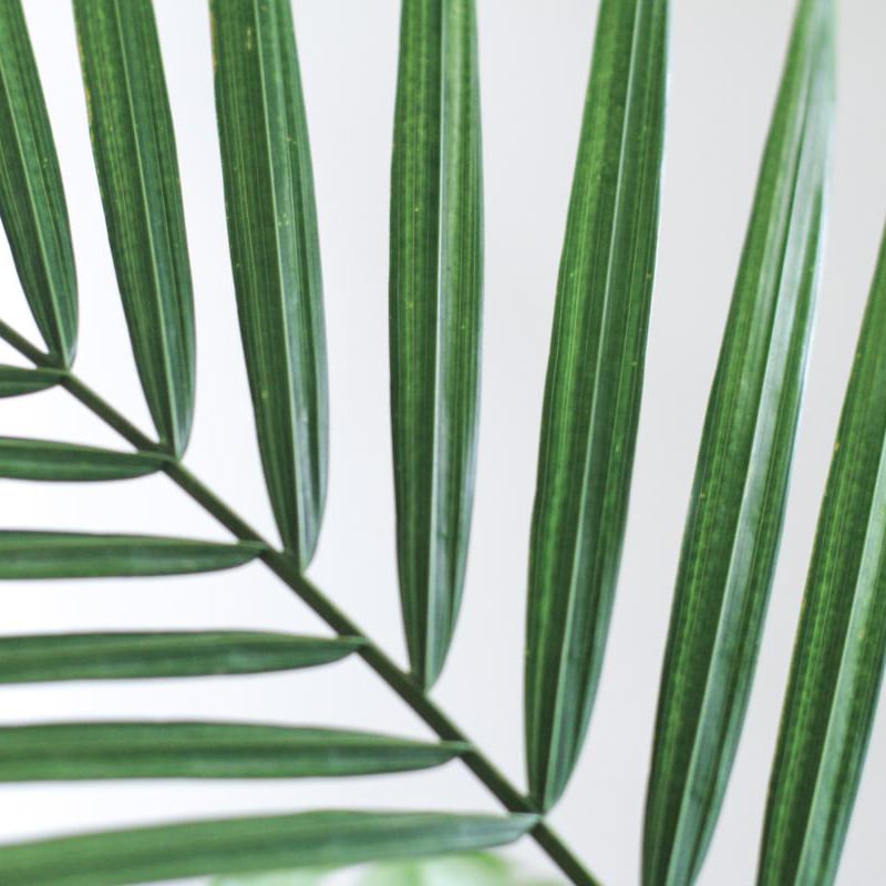 Minimalist style bedroom with modern bright palm leaf wall mural