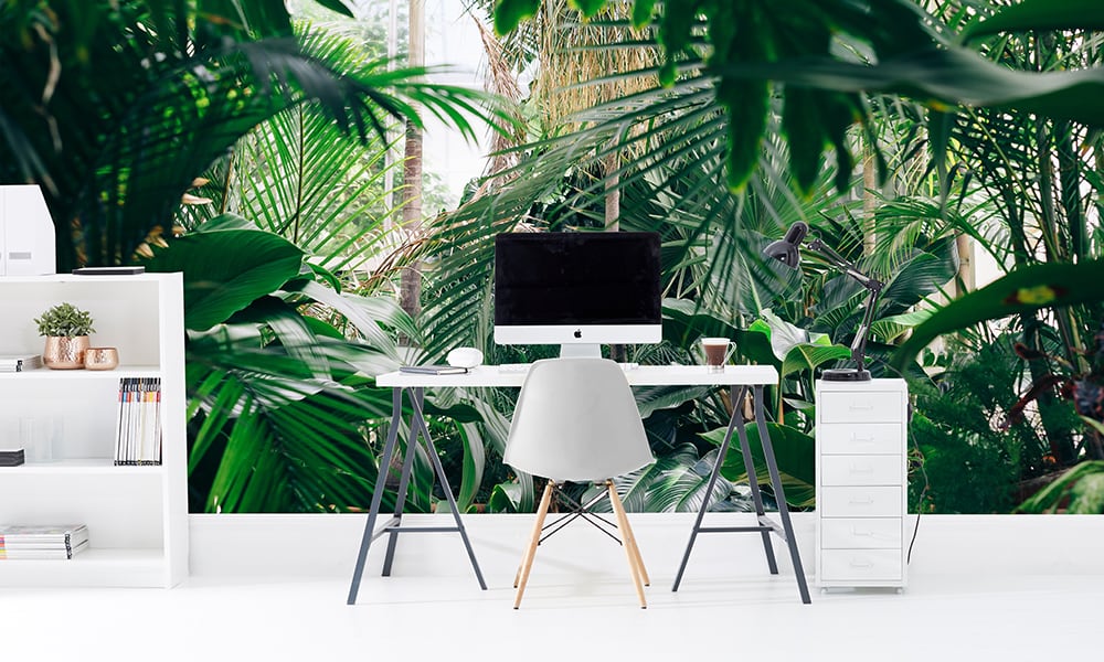 Jungle themed wallpaper in an office setting with a mac and white chair