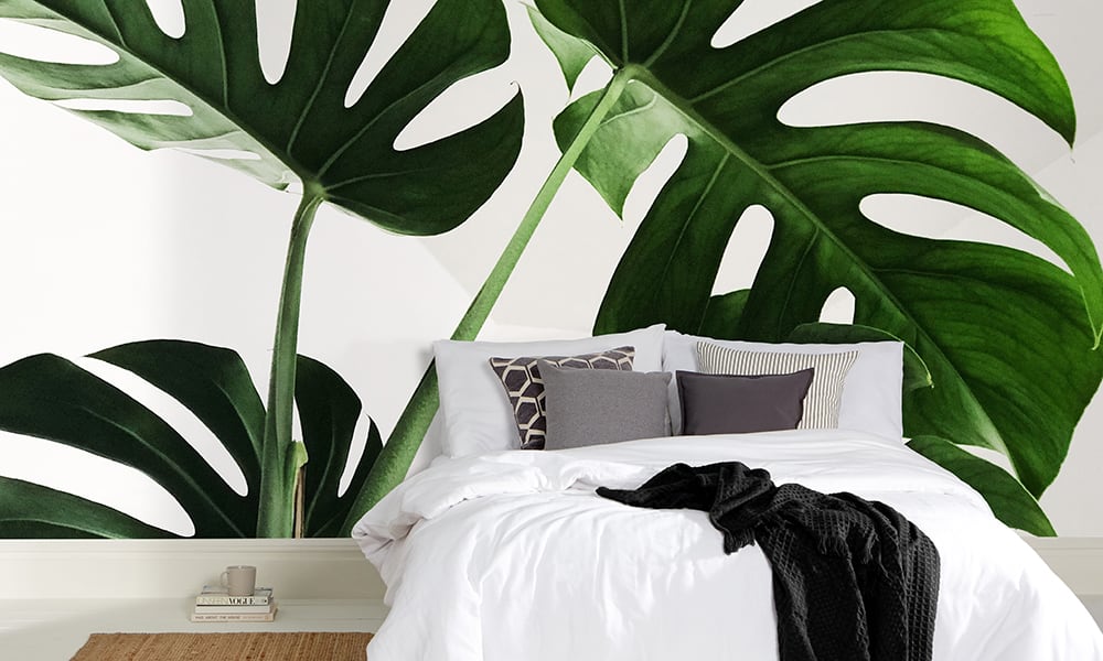 Minimalist style bedroom with a monstera cheese plant wallpaper