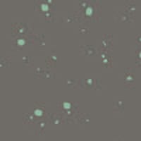 Noise wallpaper pattern in grey colour situated in an office with desk and shelves