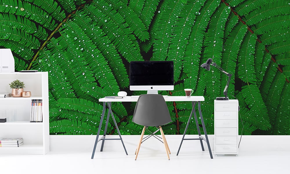 Office scene with bright green wallpaper of a leafy with raindrops 