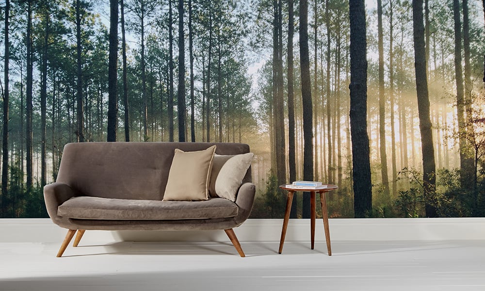 Sunlight forest wallpaper in a living room with mid-century modern sofa