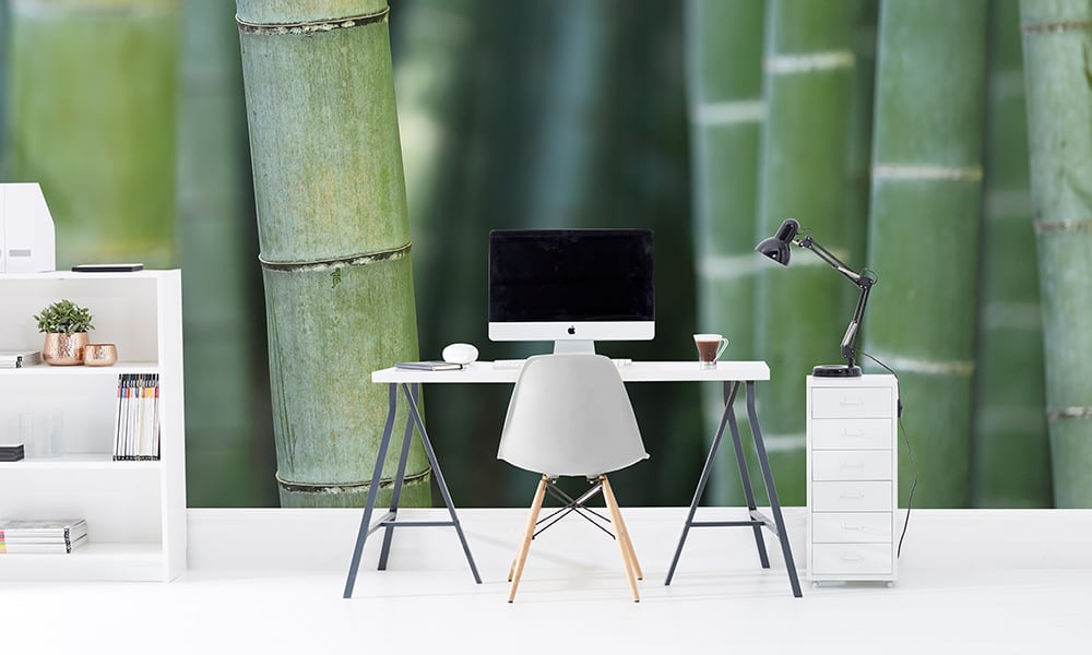 Sage green bamboo stalk photographic wall mural in an office with mac 