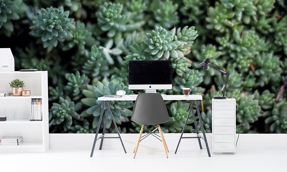Office with desk with a green succlent plant wall mural