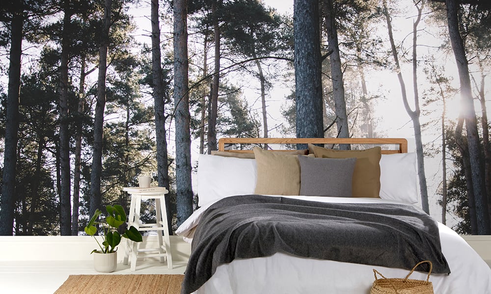 Tall trees woodland wall mural in a minimalist bedroom setting