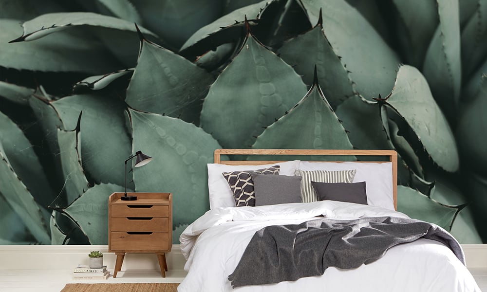 Detailed agave plant wallpaper in a minimalist bedroom setting